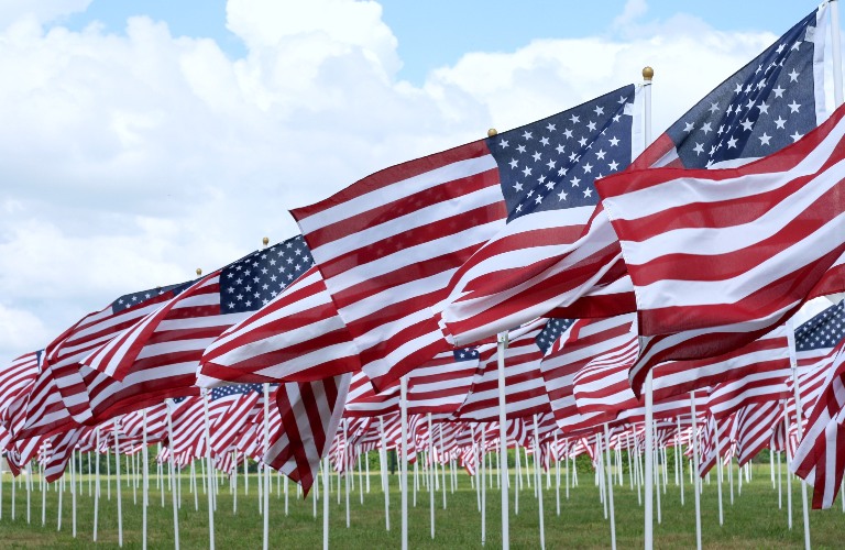 Field of flags